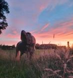 Knap palomino paardje te koop!, Dieren en Toebehoren, Paarden, Ruin, Niet van toepassing, Minder dan 160 cm, 11 jaar of ouder