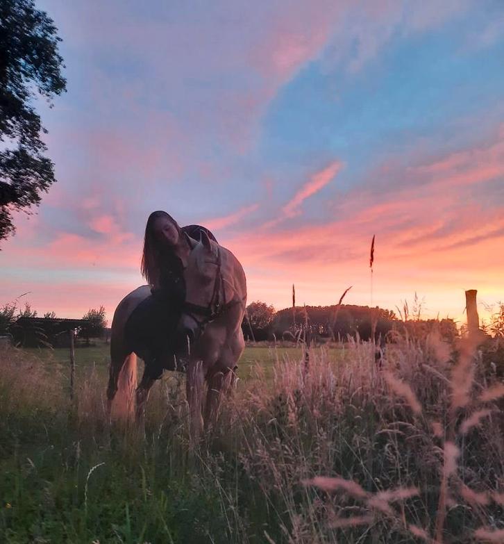 Knap palomino paardje te koop!, Dieren en Toebehoren, Paarden, Ruin, Niet van toepassing, Minder dan 160 cm, 11 jaar of ouder