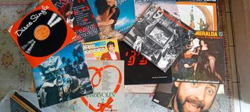 Lot 12 lange speelplaatsen vinyl  beschikbaar voor biedingen