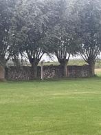 Bois de chauffage, Jardin & Terrasse, 6 m³ ou plus, Enlèvement, Autres essences de bois, Bûches