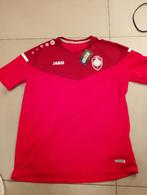 voetbalshirt Jako RAFC Antwerp maat L, Maat L, Ophalen of Verzenden