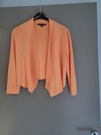 vestje, Ophalen, Nieuw, Oranje, Comma