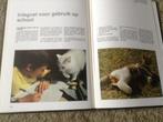 Un livre de chats, d'animaux mignons et intelligents, Comme neuf, Chats, Enlèvement ou Envoi