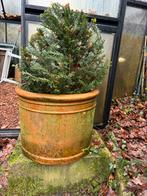 2 grote terracotta bloempotten, Enlèvement, Comme neuf