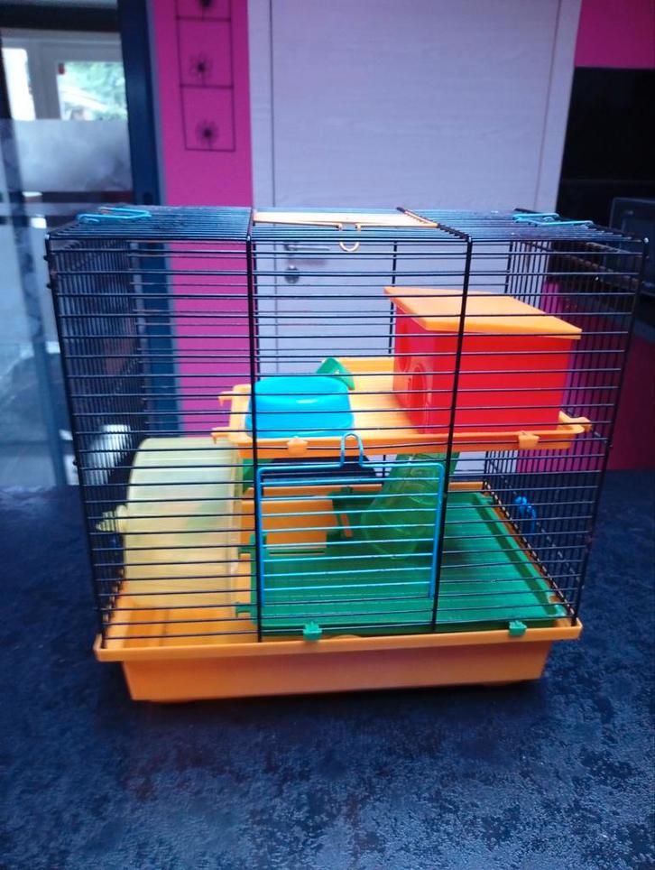 Hamsterkooi of iets anders, Dieren en Toebehoren, Knaagdieren en Konijnen | Hokken en Kooien, Zo goed als nieuw, Kooi, Hamster