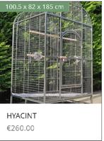 PAPEGAAIENKOOI SHOWROOM ALLES IN STOCK GROTE PARKING, Dieren en Toebehoren, Ophalen of Verzenden