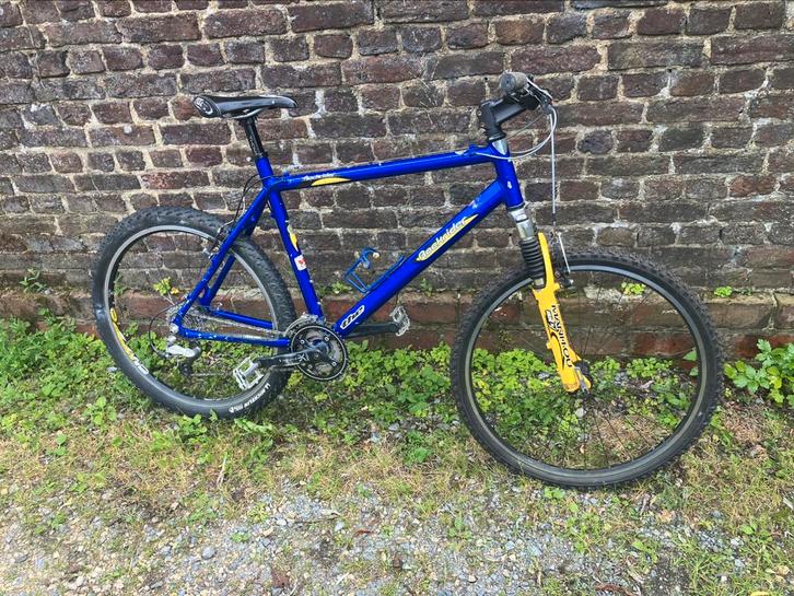Vélo Rockrider 9.1, Fietsen en Brommers, Fietsen | Mountainbikes en ATB, Gebruikt, Heren, Overige merken, Hardtail, Ophalen