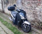 Scooter Yamaha XMax 250, Motos, 1 cylindre, 12 à 35 kW, 250 cm³, Scooter