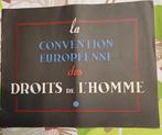 Brochure de la Convention européenne des droits de l'homme, Enlèvement ou Envoi, Société