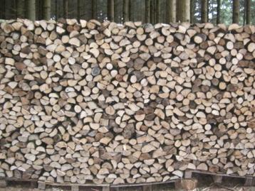 Bois de chauffage Bouleau en 33 cm ou 50 cm  beschikbaar voor biedingen