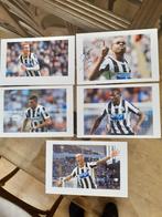 5 getekende foto's Newcastle United 2013-2014, Collections, Cartes de joueur, Enlèvement ou Envoi, Neuf