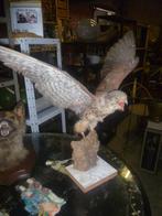 OPGEZETTE VOGEL, Verzamelen, Dierenverzamelingen, Ophalen, Vogel