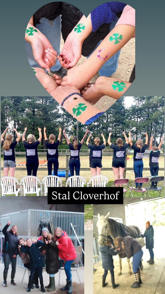 Gemotiveerde helpers gezocht, Dieren en Toebehoren, Paarden en Pony's | Overige Paardenspullen, Zo goed als nieuw, Ophalen of Verzenden