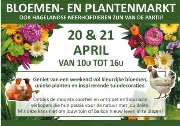 Bloemen, planten & dierenmarkt beschikbaar voor biedingen