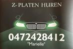 Z-platen nodig ? + gratis lichten afstellen, Ophalen