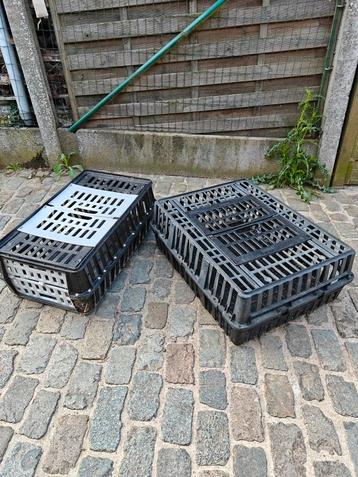 Vervoerboxen voor kippen  beschikbaar voor biedingen