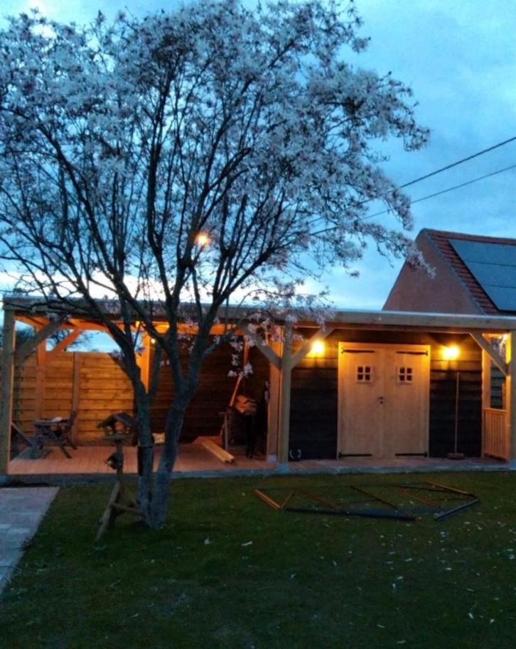 Overkappingen, Tuin en Terras, Overkappingen, Nieuw, Carport, Ophalen of Verzenden