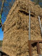 Grote pakken hooi ( kan geleverd worden), Enlèvement, Bétail