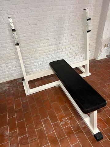 Bench Press + diprack – Technogym beschikbaar voor biedingen