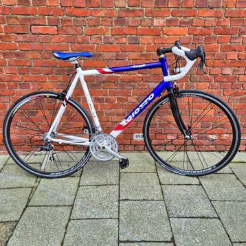 GIOTTO campagnolo 61cm Alles nieuw !! Deze Italiaan is TOP ! beschikbaar voor biedingen