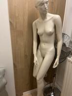 Mannequins pour magasin de vêtements, Articles professionnels, Enlèvement