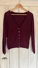 Cardigan mt L, Overige kleuren, Maat 42/44 (L), Ophalen of Verzenden, Zo goed als nieuw