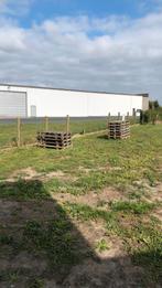 Houten paletten, Doe-het-zelf en Bouw, Hout en Planken, Ophalen, Gebruikt, Overige houtsoorten, Pallet
