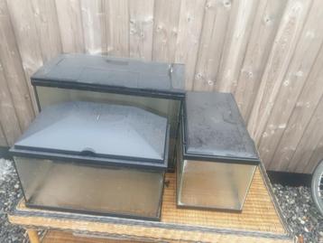 A vendre 3 aquariums encore en bon état ! ! 