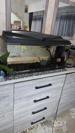 ciano aquarium 80 cf80 zwart, Dieren en Toebehoren, Vissen | Aquaria en Toebehoren, Ophalen of Verzenden, Gebruikt, Gevuld zoetwateraquarium