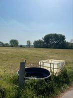 HUUR- EN PAARDENSTAL EN PLAATS - REET/RUMST - Voor 2x, Dieren en Toebehoren, Paarden