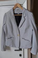 Prachtig gevoerd jasje 46 H&M., Kleding | Dames, Grote Maten, H&M, Ophalen of Verzenden, Zo goed als nieuw, Jasje of Colbert