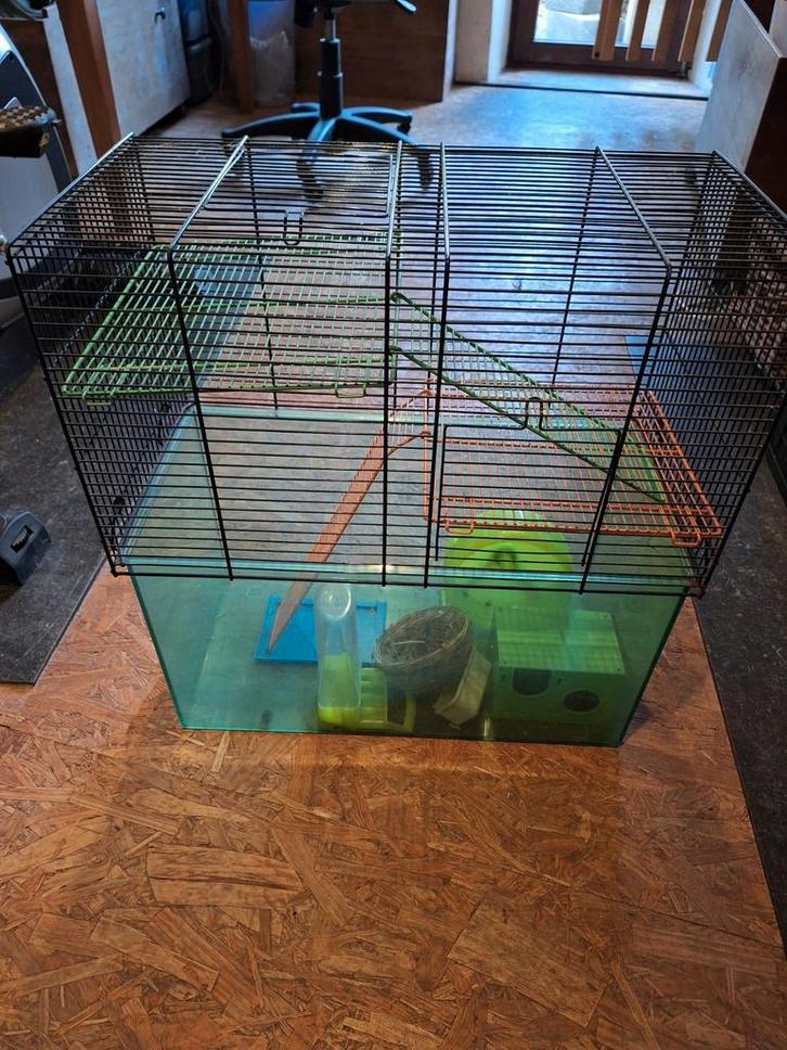 Knaagdierkooi met accessoires — goede staat, Dieren en Toebehoren, Vogels | Hokken en Kooien, Zo goed als nieuw, Metaal, Ophalen