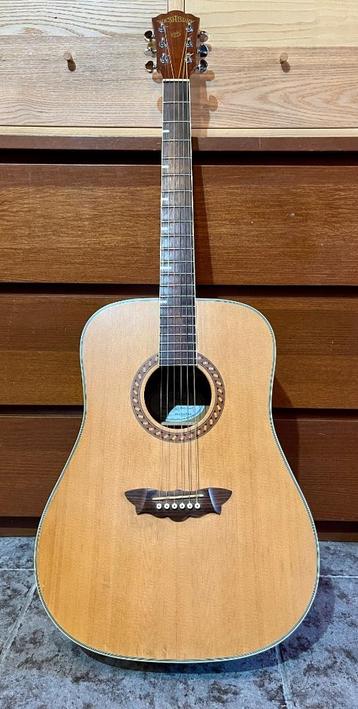 Washburn WD32S akoestische gitaar beschikbaar voor biedingen