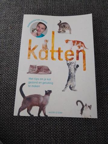 Dierendokter Joshua - Katten beschikbaar voor biedingen