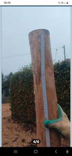 Nieuwe kastanje palen 2m op 10dia, Ophalen, Nieuw