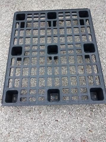 Plastieken paletten  beschikbaar voor biedingen