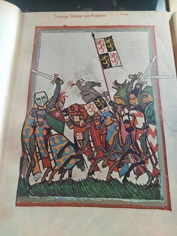 boek: geschiedenis van Vlaanderen- de Middeleeuwen deel 2 beschikbaar voor biedingen