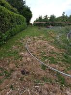 Ik zoek een kleine wei omgeving Borgloon wellen heers, Dieren en Toebehoren, Stalling en Weidegang