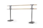 MARA + PREMIUM FREESTANDING PORTABLE BALLETBARRE DANCEBARRE, Sport en Fitness, Ophalen of Verzenden, Nieuw, Overige typen