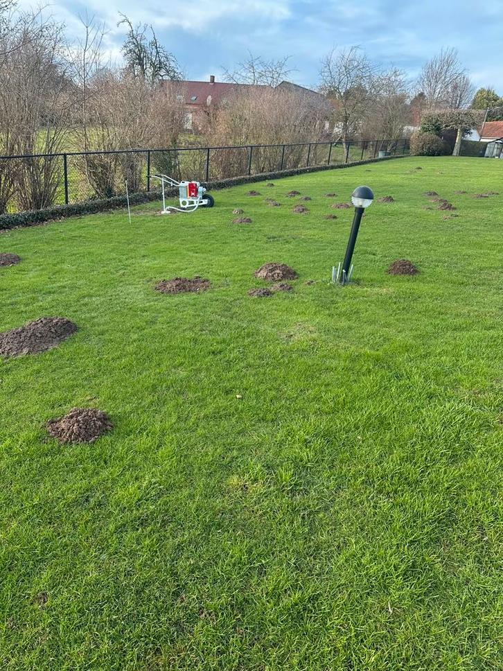 Répulsif à taupes - jardinier, Animaux & Accessoires, Volatiles