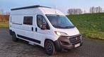 Campervan Roller Team Livingstone 2, Particulier, Diesel