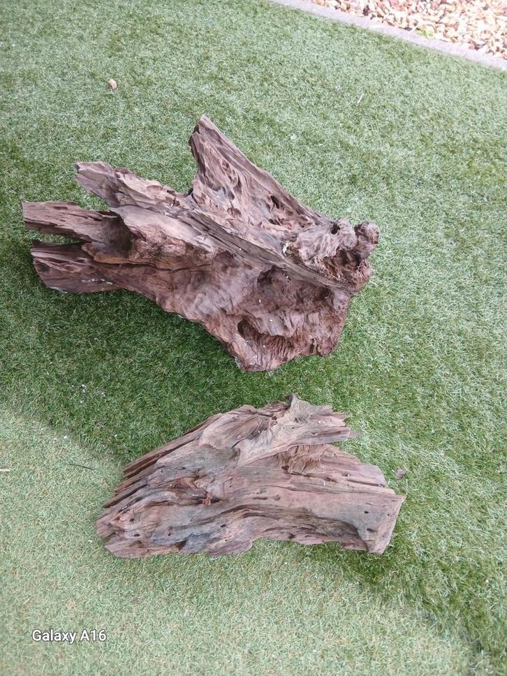 Kienhout voor aquarium, terrariums. Prijs zie beschrijving., Dieren en Toebehoren, Vissen | Aquaria en Toebehoren, Gebruikt, Ophalen