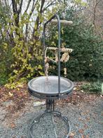 Speeltoren papegaai, Dieren en Toebehoren, Papegaai