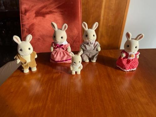 Sylvanian Famille Periwinkle avec bébé., Enfants & Bébés, Jouets | Maisons de poupées, Utilisé, Maison de poupées, Enlèvement ou Envoi