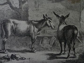 oude ets paard en ezel staande voor een gebouw
