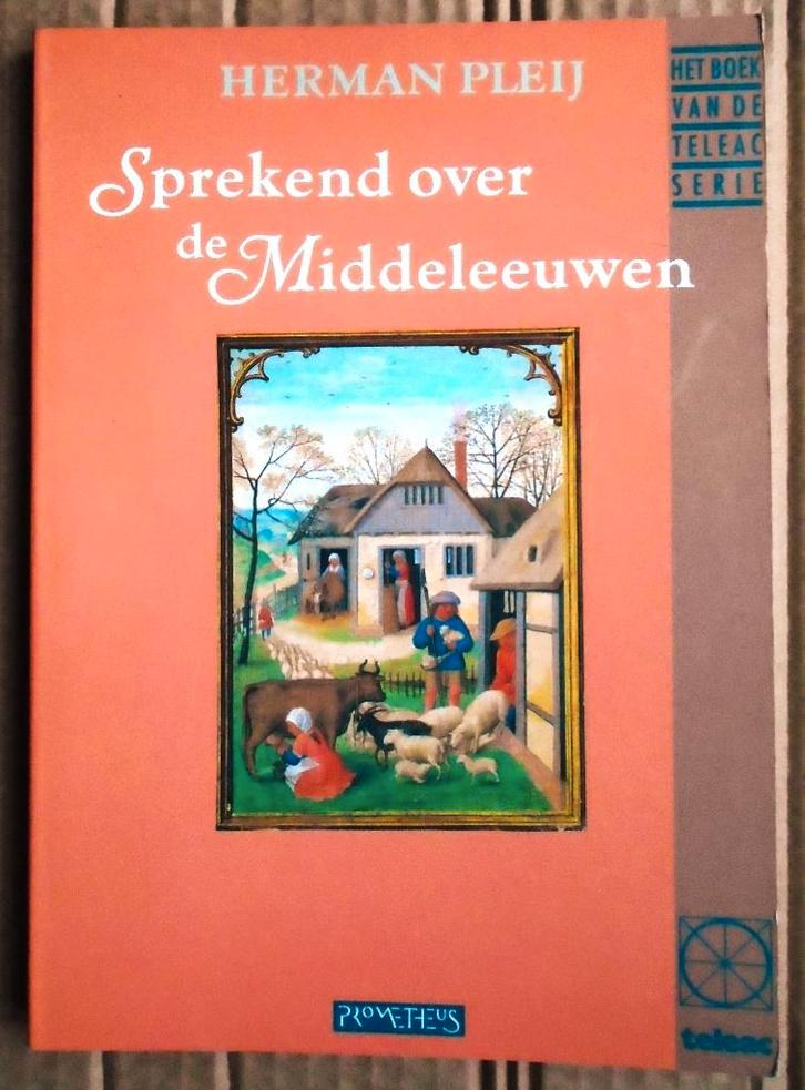 Sprekend over de Middeleeuwen - 1991 - Herman Pleij, Livres, Histoire mondiale, Comme neuf, Europe, 14e siècle ou avant, Enlèvement ou Envoi