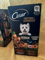Cesar Terrine sans céréales avec superaliments 8x100g., Ophalen