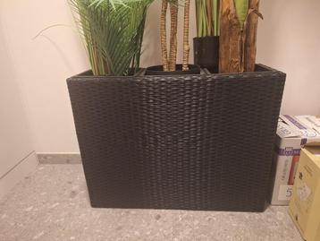 grote plantenbak voor binnen of buiten beschikbaar voor biedingen