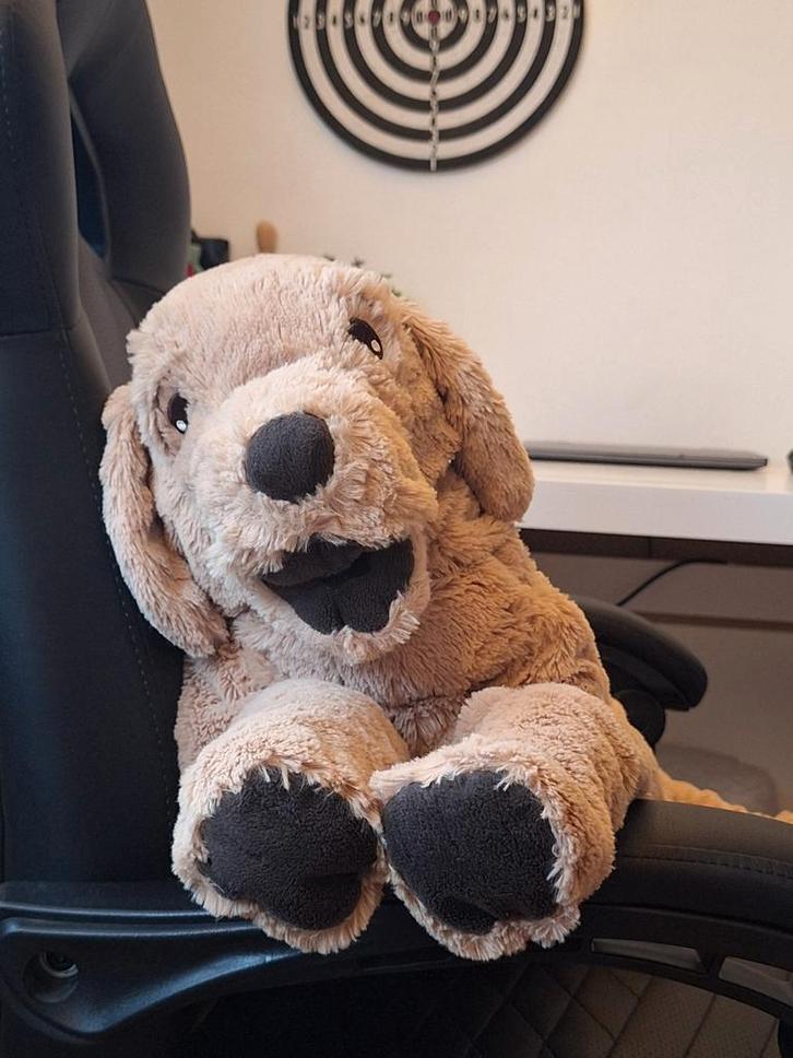 Set van grote knuffeldieren honden, Verzamelen, Beren en Cherished Teddies, Zo goed als nieuw, Stoffen beer, Overige merken, Ophalen