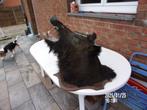 taxidermie, Verzamelen, Dierenverzamelingen, Ophalen, Zo goed als nieuw